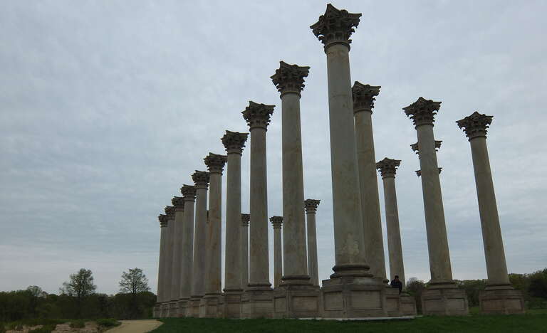 &quot;Did you ever grow anything in the garden of you rmind?&quot;