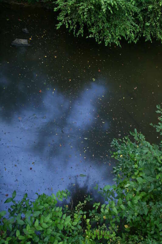 Polluted standing water of Rock Creek at Cedarock Park — in the vicinity of Burlington, North Carolina during a drought.