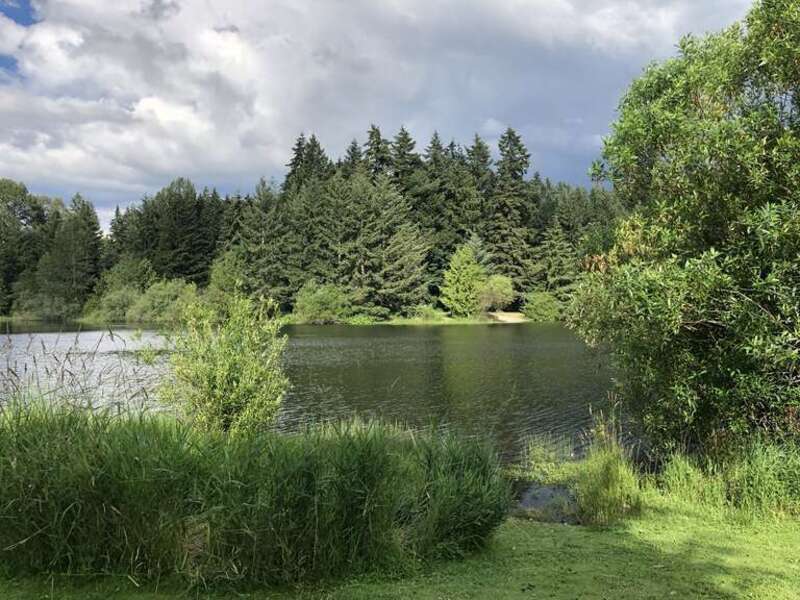 Bradley Lake Park (Puyallup, Washington)