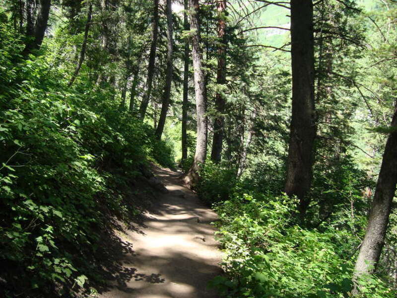 Alpine Scenic Highway Walking Trail in Utah