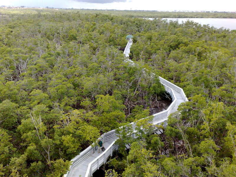 Anne Kolb Nature Center observation tower boardwalk view