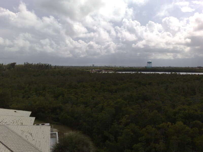 Anne Kolb Nature Center observation tower view