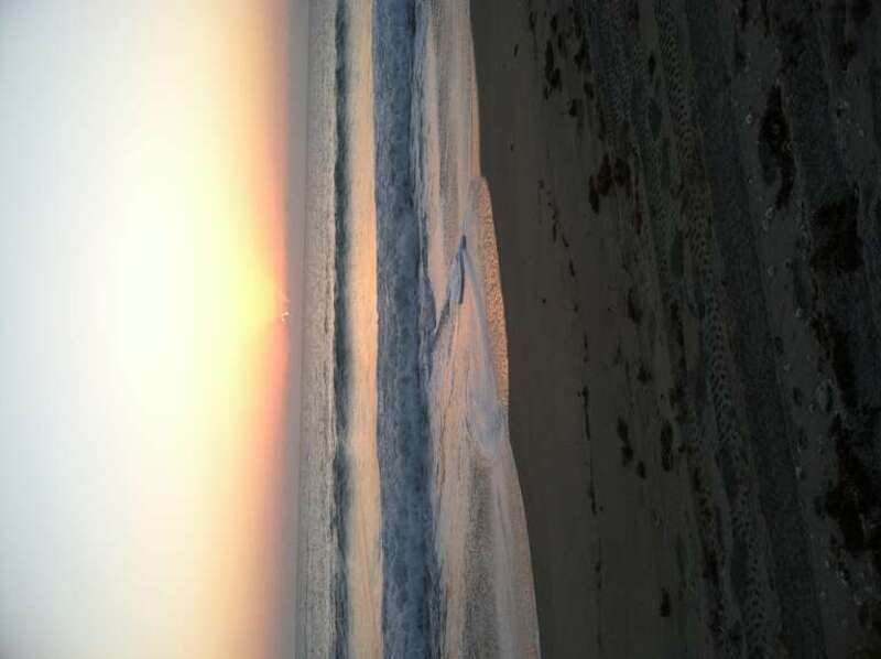 Credit: Keenan Adams, USFWS

www.fws.gov/pelicanisland/