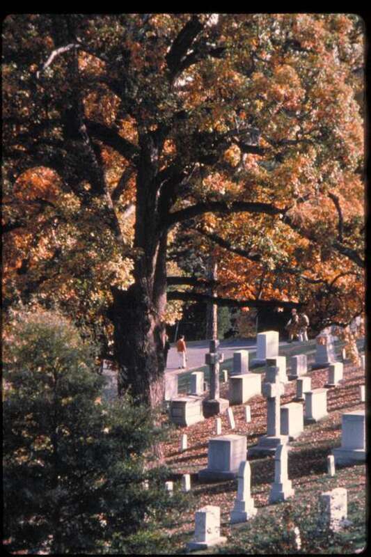 A view of Arlington National Cemetery through the fall trees with visitors in the background.  Today, Arlington National Cemetery is understood by many to be hallowed ground, a place of national remembrance for the sacrifices of thousands of service