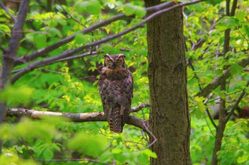 Bayside, WI 53217, USA