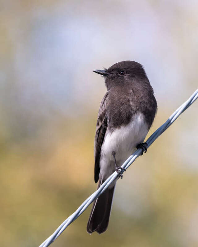 Big Break Regional Shoreline, Oakley, California