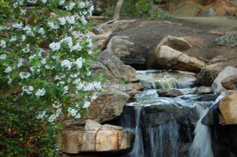 Photo showing the Dr. Joe Christian Serenity Falls located at The Bog Garden in Greensboro, NC, USA.