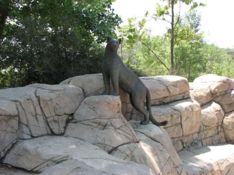Bronze Cougar at MTRP Visitors Center