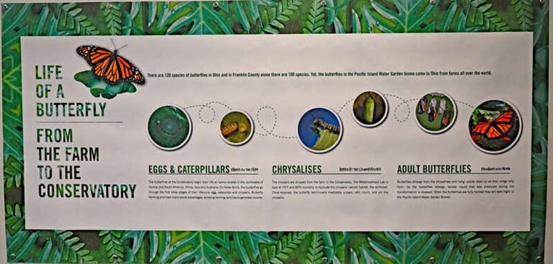 A sign giving the life cycle of the butterfly is posted outside the Metamorphosis Lab in the Grand Atrium of the Franklin Park Conservatory in Columbus, Ohio.  Taken during the Conservatory's annual Butterflies and Blooms exhibit on March 31, 2022.