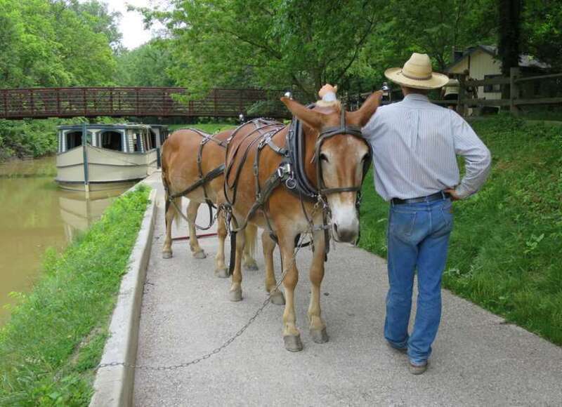 Canal Boat &amp;amp; Mule Team - Providence Metropark, OH