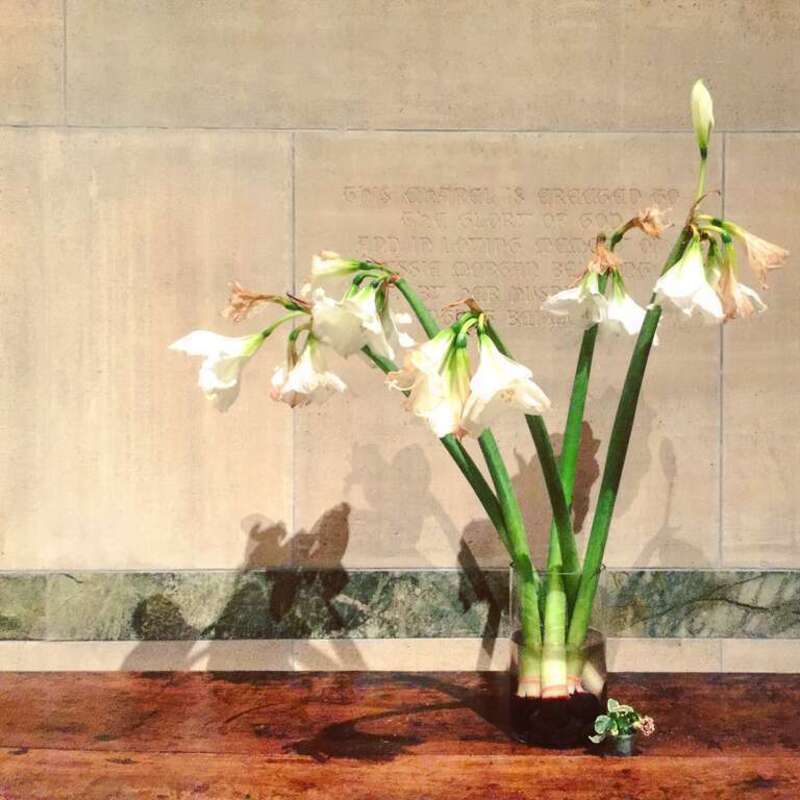 Site: Cathedral of St. John the Divine