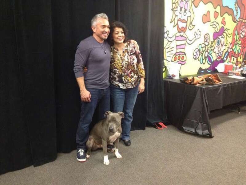 Cesar Millan - The Dog Whisperer Live in Chandler, Arizona