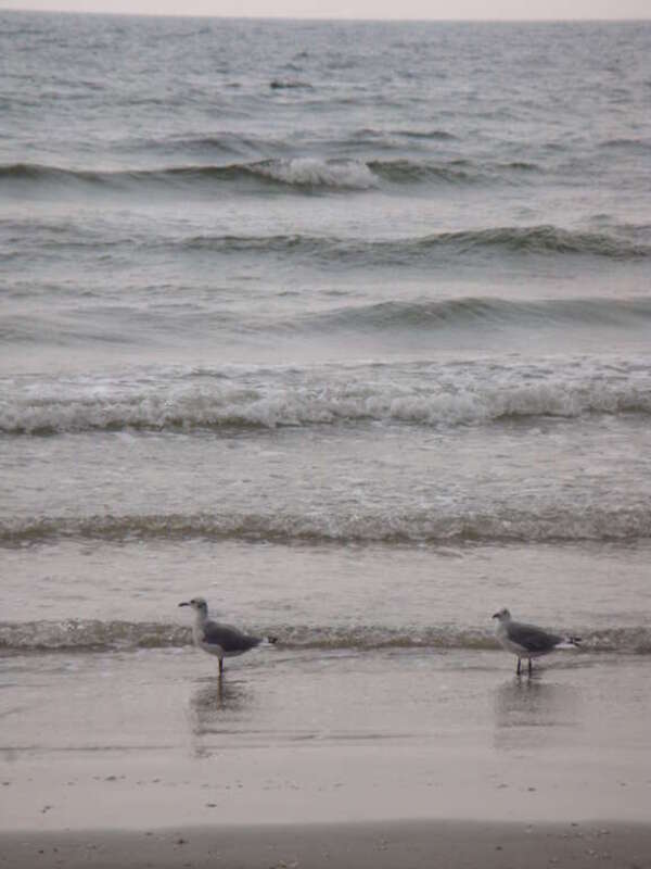 Citizens of Jamaica Beach, Texas