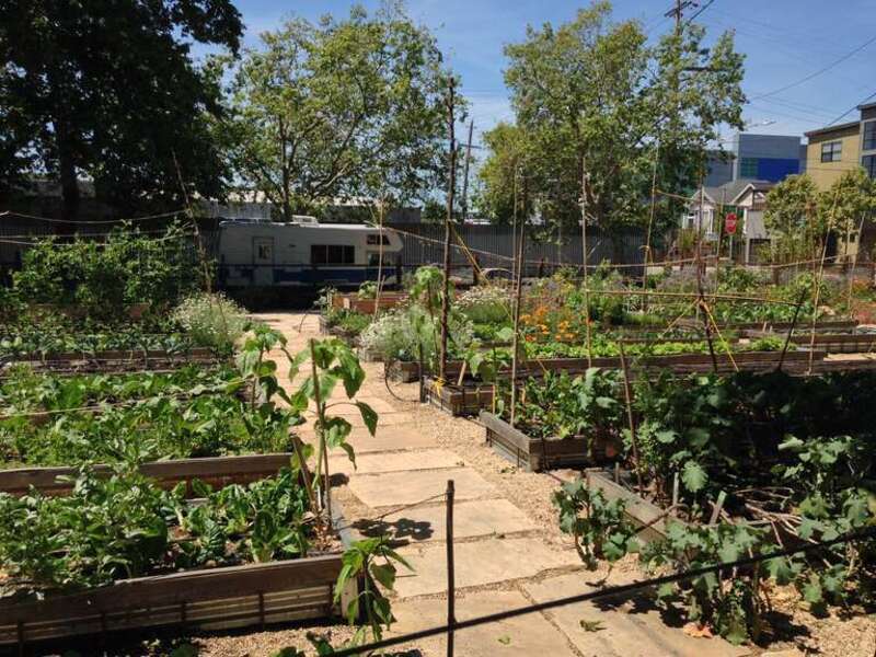 City slicker farms plot at their West Oakland farm.