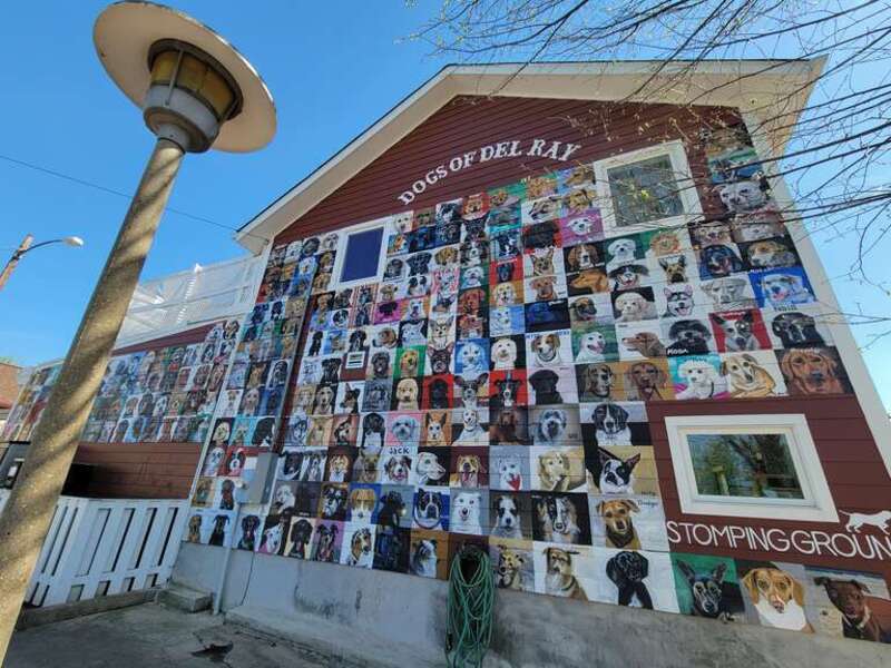 Dogs of Delray Mural