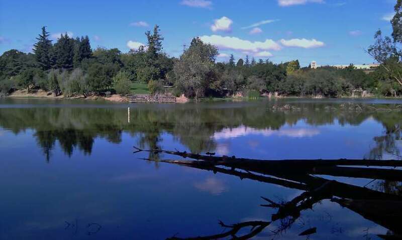 Don Castro at Castro Valley