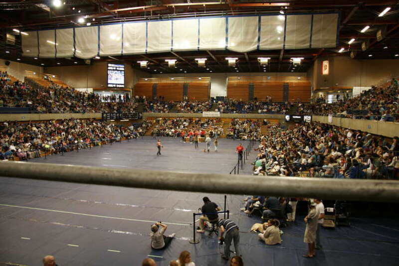 UC Davis Pavilion during &quot;Doxie Derby&quot; Dachshund race, annual Picnic Day fund-raiser for the School of Veterinary Medicine.