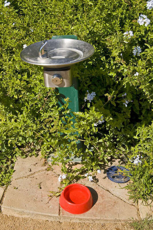 Alice Keck Park Memorial Gardens