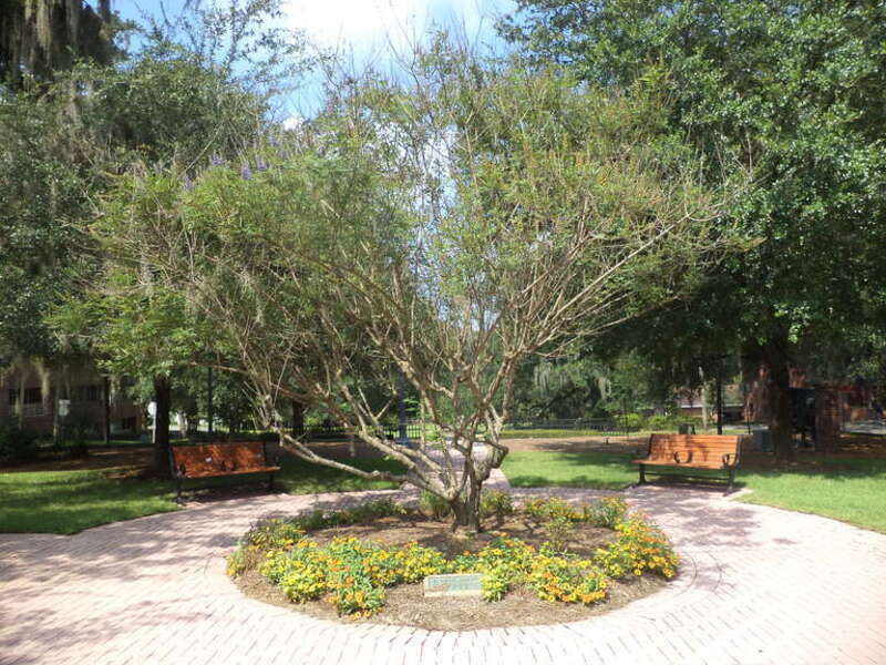 E Peck Greene Park, Tallahasee, Leon County, Florida