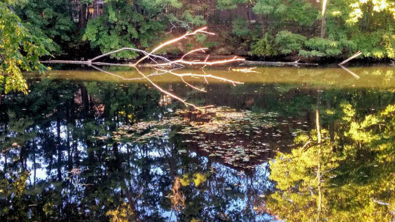Early-Fall Reflections in Mystic River 2