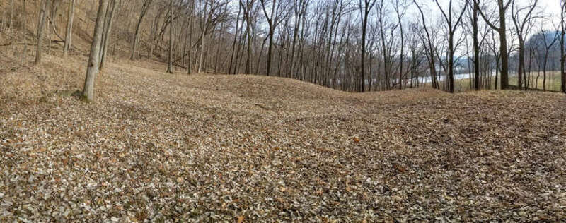 Effigy Mounds National Monument preserves more than 200 prehistoric mounds built by Native Americans. Numerous effigy mounds are shaped like animals, including bears and birds. These were built mostly in the first millennium, by peoples of the