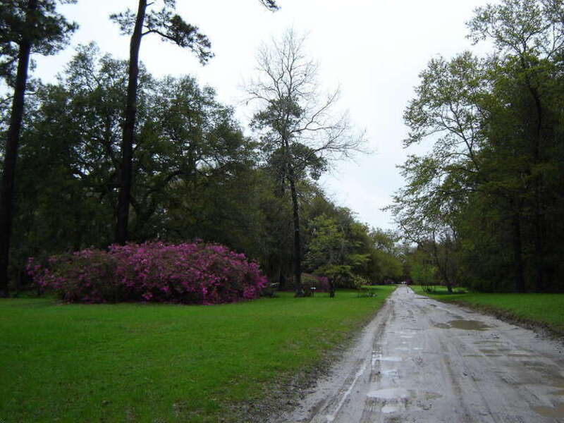 Enterence of Boone Hall Plantation Mt Pleasant SC