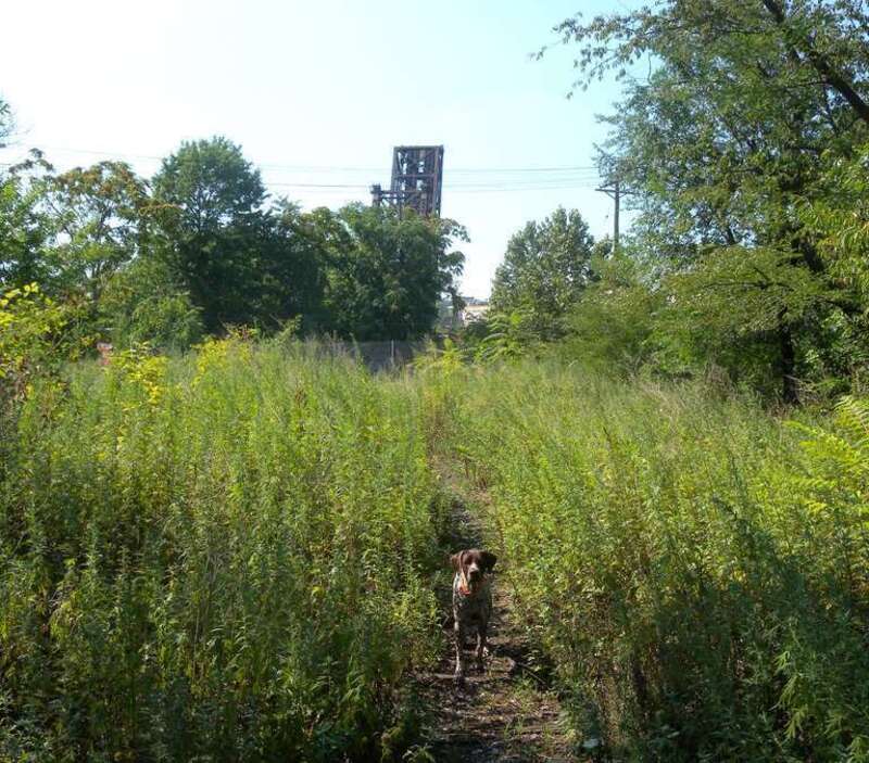 Looking northwest along E-L embankment towards Passaic Avenue and drawbridge on a sunny midday.