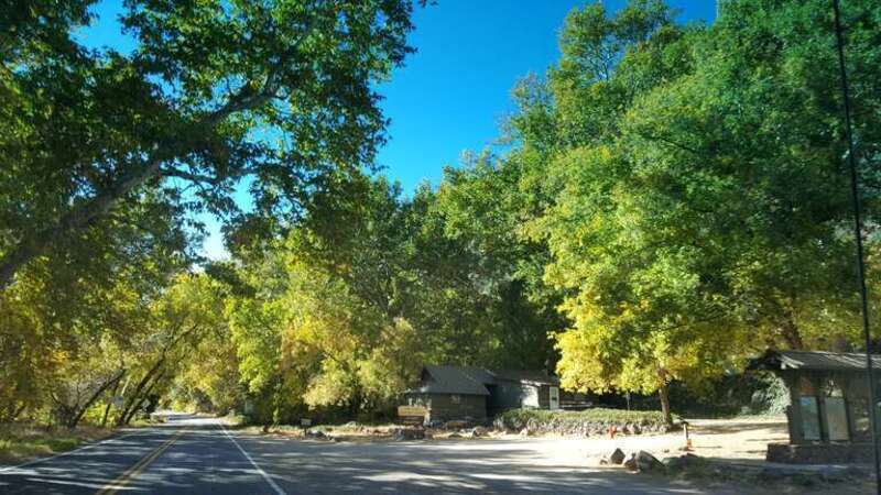 Indian Gardens.
Fall color November 8, 2017 in Oak Creek Canyon, along Arizona State Route 89A north of Sedona, Arizona. 

Photo by Deborah Lee Soltesz. Credit U.S. Forest Service Coconino National Forest.