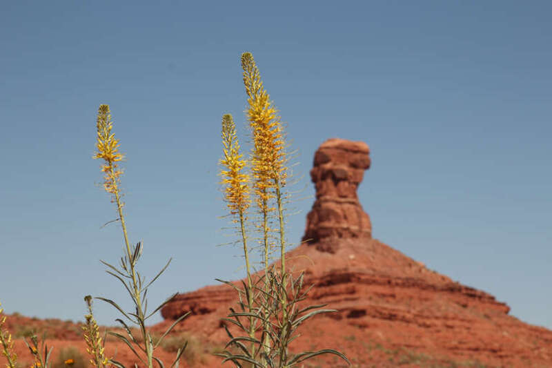 Potash Road outside of Moab, Utah