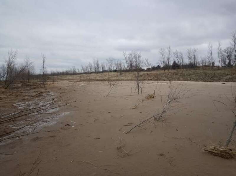 Site where a foredune was destroyed by shelf ice and wave action, at Lake Street Beach on Lake Michigan in Gary, Indiana.