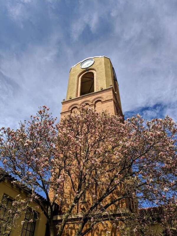 Clocktower at Forest Park in St. Louis, Missouri in springtime.