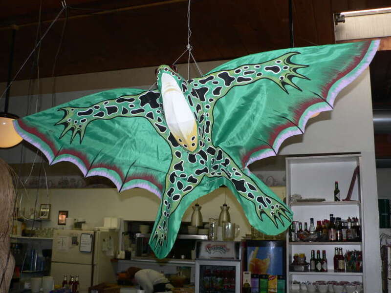A kite as decoration; a frog kite hangs from a cafe ceiling with the kitchen behind.