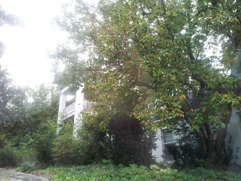 George Coulter House