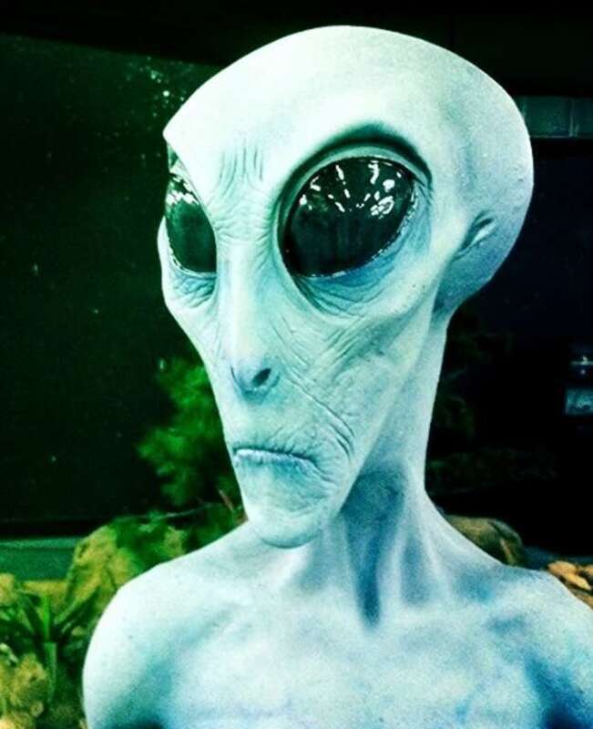 Gray Alien at UFO Museum, Roswell