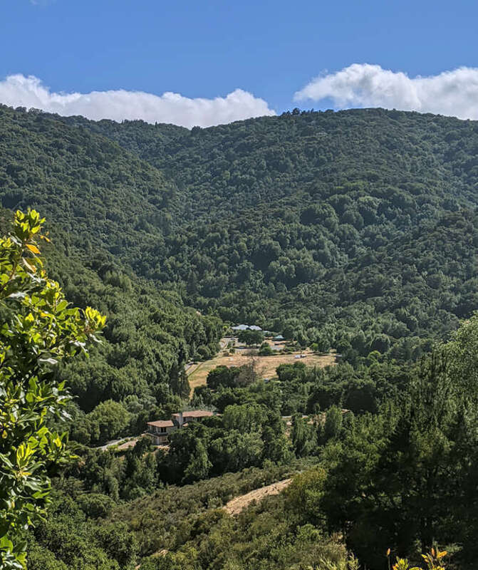 Hidden Villa and the headwaters of Adobe Creek, Santa Clara County, California, in the Santa Cruz Mountains, viewed from a hill above Moody Road in Los Altos Hills