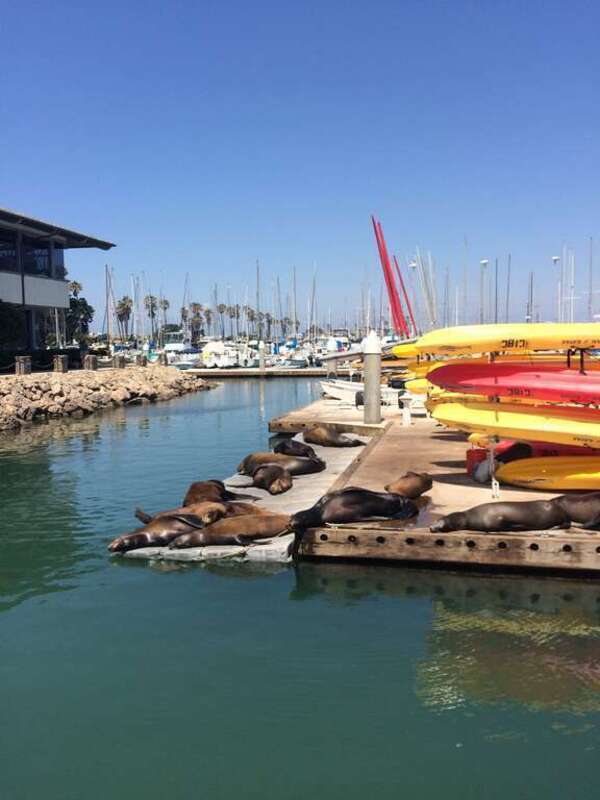 Hollywood, Oxnard, CA 93035, USA