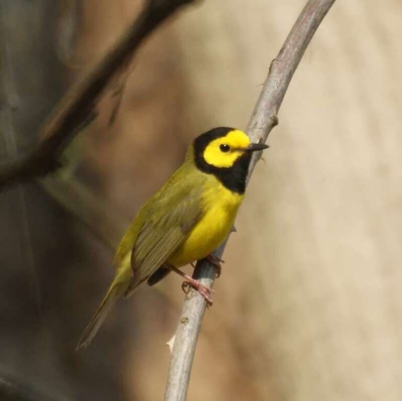 Taken at Garret Mountain, West Paterson, NJ