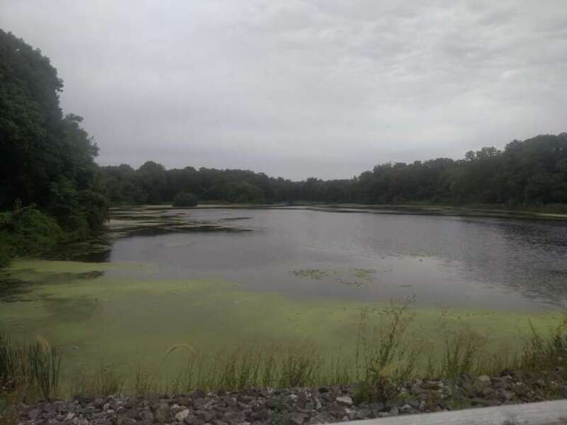 Hutchinson River Reservoir #3, looking north from the dam that impounds it (Dam #3). In Twin Lakes County Park in Westchester County, NY, USA. The reservoir dates to 1908 but is no longer used for water supply.