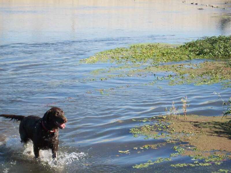 jers on santa ana river