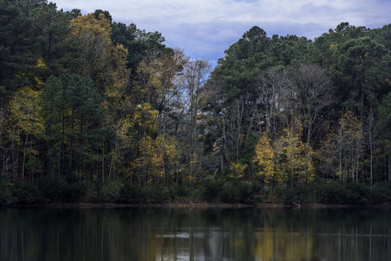 500px provided description: Lake Ballard at Hoffler Creek Wildlife Preserve, Portsmouth, Virginia [#Lakes ,#Autumn colors ,#Portsmouth Virginia ,#Hoffler Creek Wildlife Preserve ,#Wildlife Preserves]