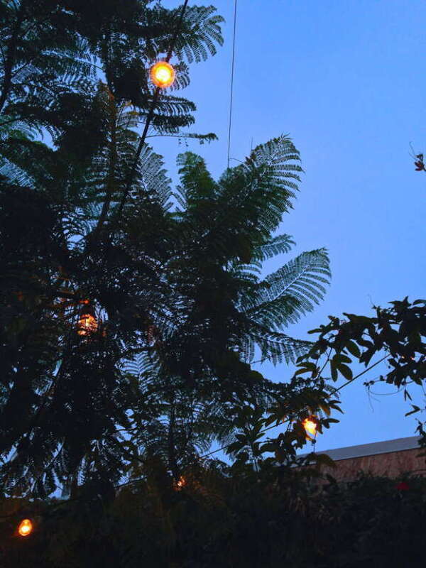 Late Night or Early Morning