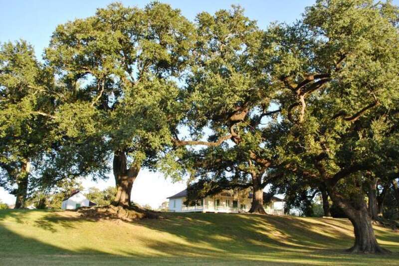 Magnolia Mound Plantation House
