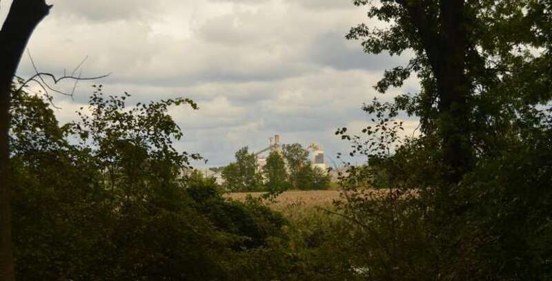 Mentor Marsh Nature Perserve