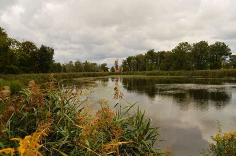 Mentor Marsh Nature Perserve