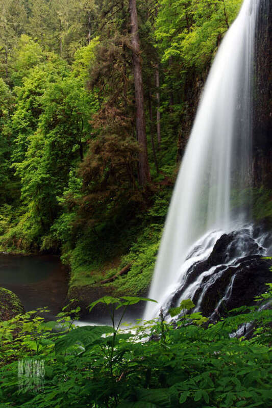 Height: 106 ft.

Silver Falls State Park in Sublimity, Oregon.