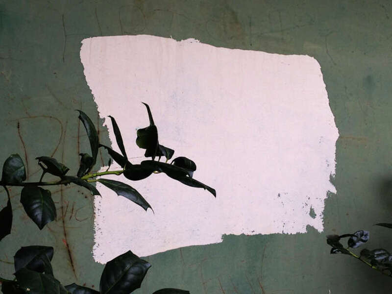 Copyrights by Walter Willimann aka Mimizane
Chattanooga TN and Kansas City MO