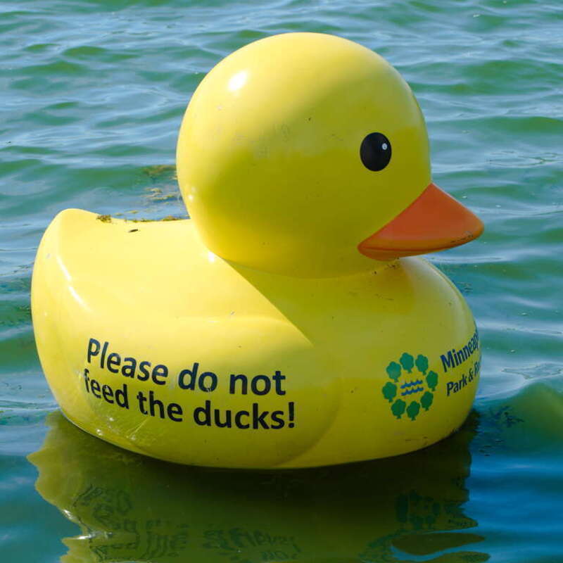 Lake Harriet Band Shell in the neighborhood of Linden Hills in the Southwest community.
Minneapolis is split into 11 communities which are split into 86+ neighborhoods. My goal in 2022 is to take photos in all neighborhoods in Mpls in roughly