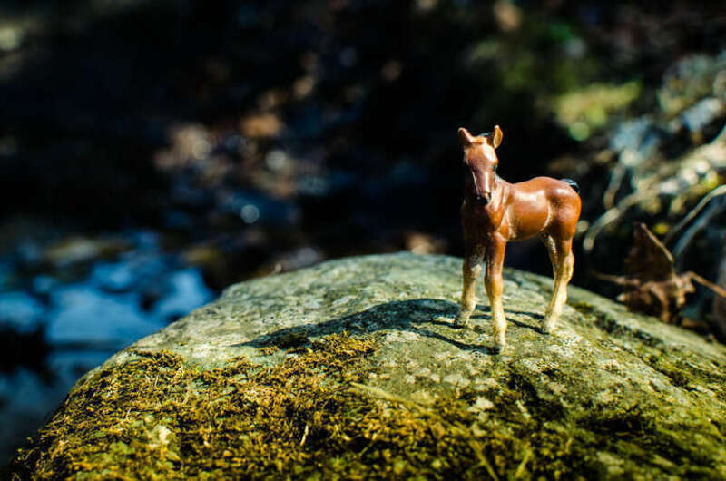 500px provided description: Mossy Foal [#toy ,#horse ,#moss ,#vermont]