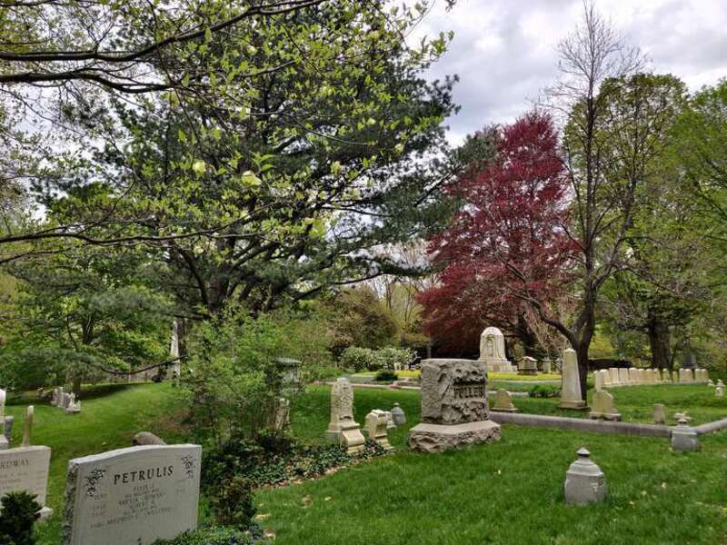 Mt. Auburn Cemetery