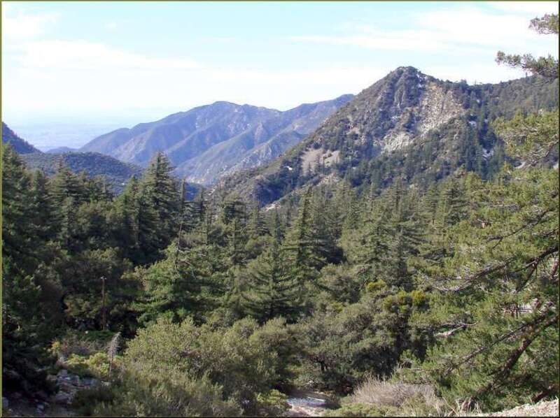 (1 in a multiple picture set)
We had a cloudy day while we were up on Mt. Baldy, so these pictures are not as crisp as I had hoped they would be.